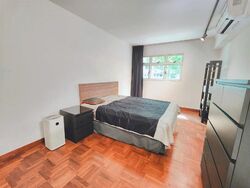Blk 9 Holland Avenue (Queenstown), HDB 3 Rooms #587231981
